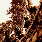 Fuzz Fuzz Machine - List pictures