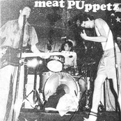 Meat Puppets - List pictures