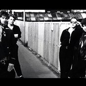 The Woodentops - List pictures