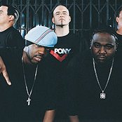 Bionic Jive - List pictures