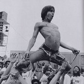 Pop Iggy - List pictures