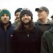 A Band Of Bees - List pictures