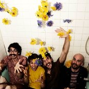 The Elwins - List pictures