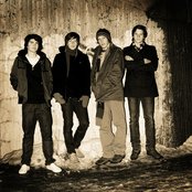 Kråkesølv - List pictures