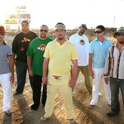 Fat Freddy's Drop - List pictures