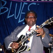 B.b. King - List pictures