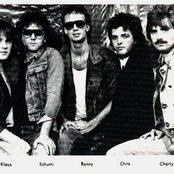 Trans Am - List pictures