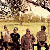 Blof - List pictures