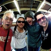 Feeder - List pictures