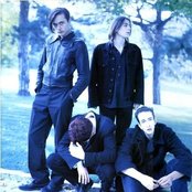 The London Suede - List pictures