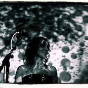 The Cranes - List pictures