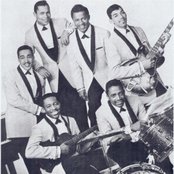 The Flamingos - List pictures