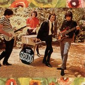 Seeds - List pictures