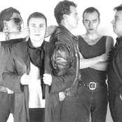 Litfiba - List pictures