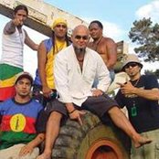 Katchafire - List pictures