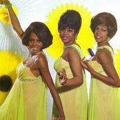 Diana Ross & The Supremes - List pictures