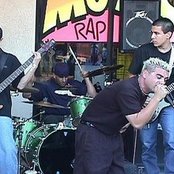 Gryp - List pictures