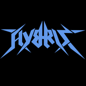 Hybris - List pictures