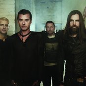 Bush - List pictures