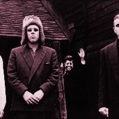 The Wolfgang Press - List pictures