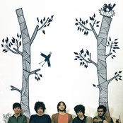 Polock - List pictures