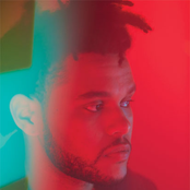 The Weeknd - List pictures