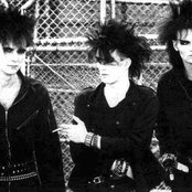 Skinny Puppy - List pictures