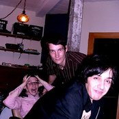 Lilys - List pictures