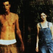 Lamb - List pictures