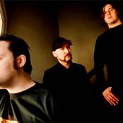 Nasum - List pictures