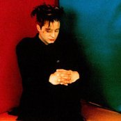 Anything Box - List pictures