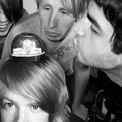 Goose - List pictures