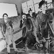 Cop Shoot Cop - List pictures