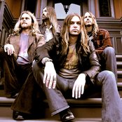 Orchid - List pictures