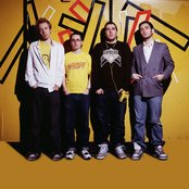 Hot Chip - List pictures