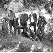 Blue Rodeo - List pictures