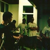 Cardinal - List pictures