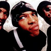 Onyx - List pictures