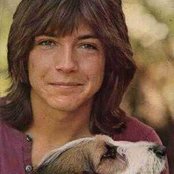 David Cassidy - List pictures