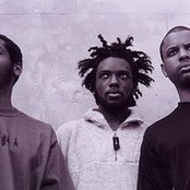 Gamma - List pictures