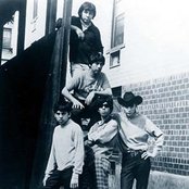 Question Mark & The Mysterians - List pictures