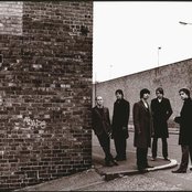 The Orange Lights - List pictures