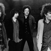 Replacements - List pictures