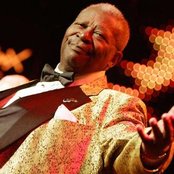 B.b. King - List pictures