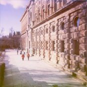 Pears - List pictures