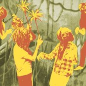 Candy Claws - List pictures