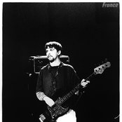 Laika - List pictures