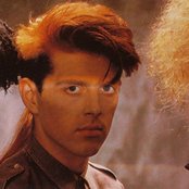 Thompson Twins - List pictures