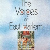 The Voices Of East Harlem - List pictures