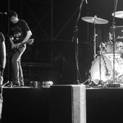 Shellac - List pictures